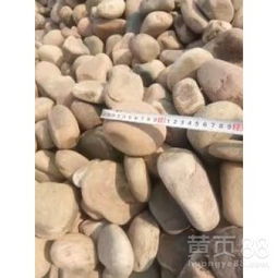 【智睿园艺鹅卵石人工湖底鹅卵石直销鹅卵石大块鹅卵石】-