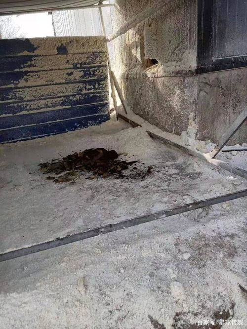 河北沧州南皮县 疫情期间一豆制品厂无证生产销售