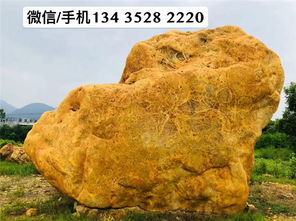 【中山景观园林石,单位标志石,中山黄蜡石批发】- 