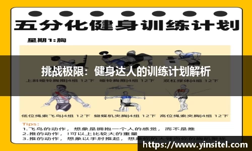 挑战极限：健身达人的训练计划解析
